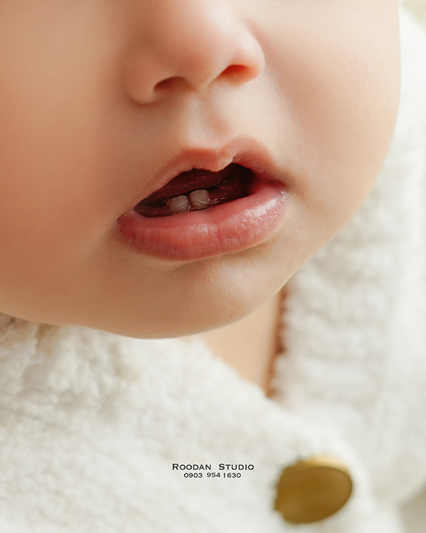 RooanStudio-dandoni (5)